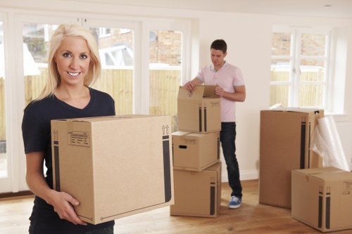 Man with van moving boxes in Northsheen neighborhood