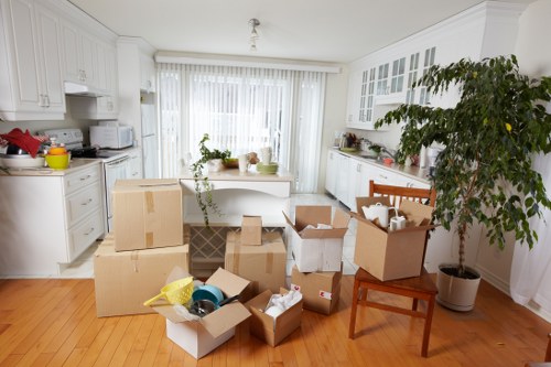 Professional North Sheen man with van team handling a move