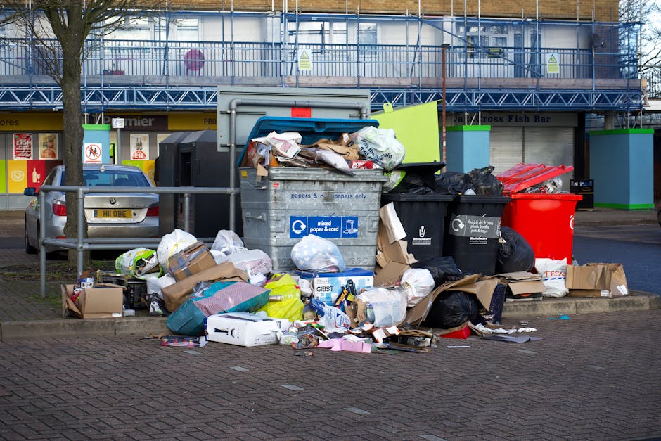 A blue communal waste bin labeled 'renewi' positioned on a paved sidewalk in front of a modern, white, two-story building with large rectangular windows. The bin is filled with black rubbish bags and other waste materials, with some bags spilling over the top. The area surrounding the bin includes a small patch of grass with sparse vegetation, and the sky reflected in the windows is partly cloudy with blue sky and white clouds. The scene appears to be part of a residential or office property where waste disposal and clearance activities may take place, relevant to house removals and relocation services offered by Man with Van North Sheen.